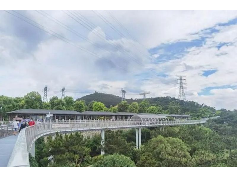 空中走廊