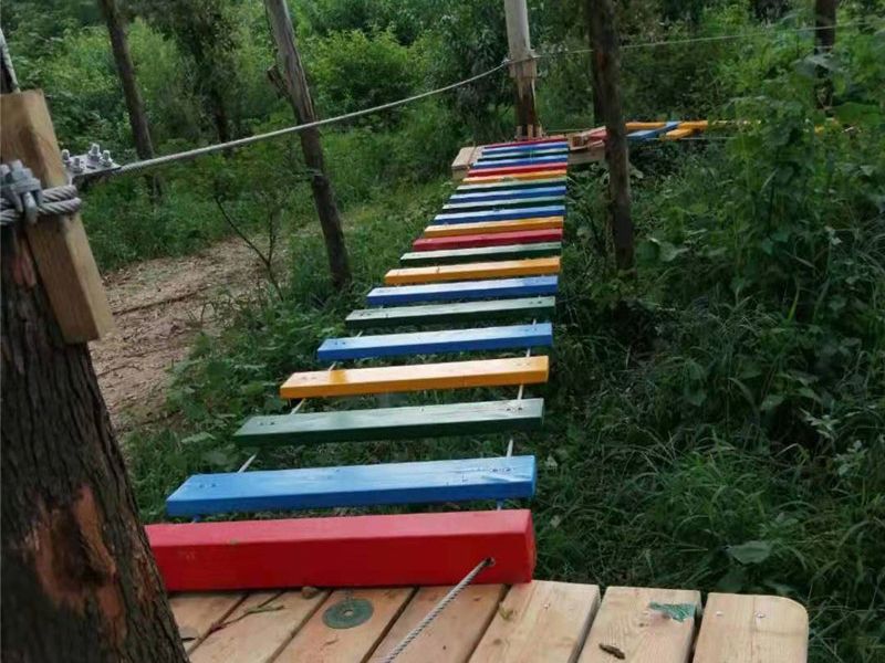 丛林穿越
