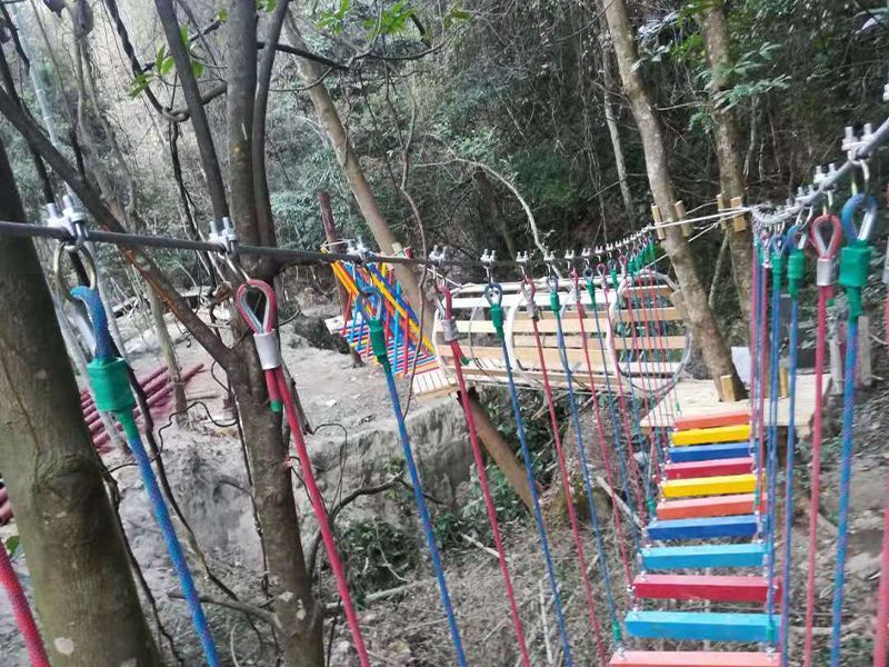 丛林穿越