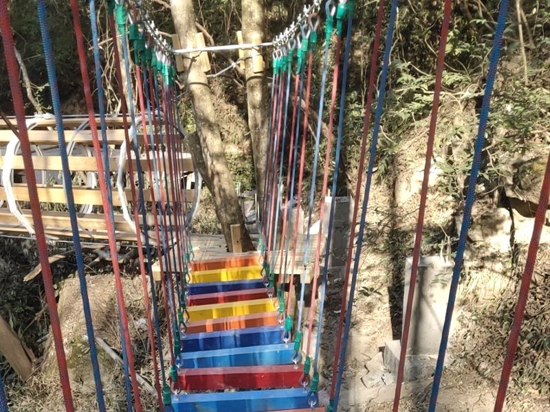 丛林穿越